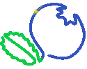 My blueberry corner