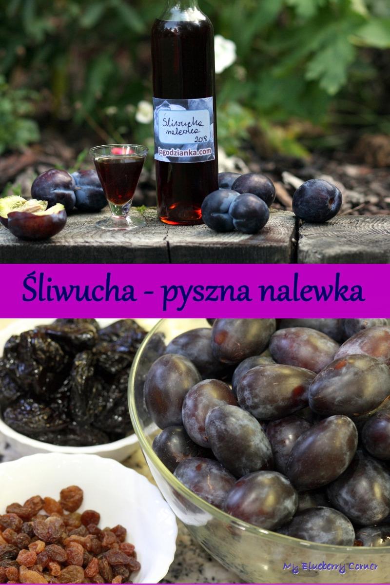 Sliwucha Pyszna Nalewka My Blueberry Corner