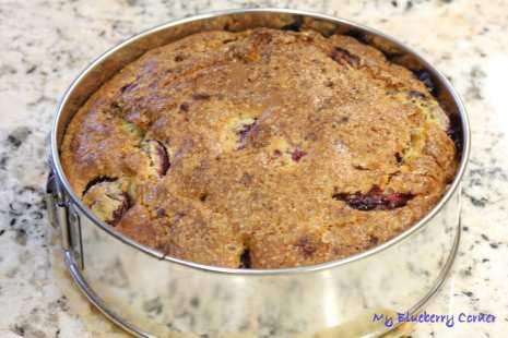 Pyszne ciasto ze śliwkami