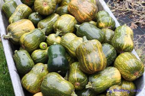 Czosnkowo-dyniowa zupa krem