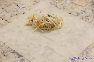 Tajskie sajgonki (spring egg rolls)