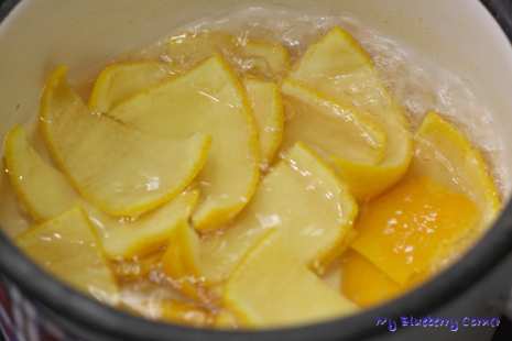 Skórka pomarańczowa