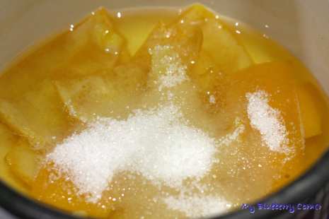 Skórka pomarańczowa